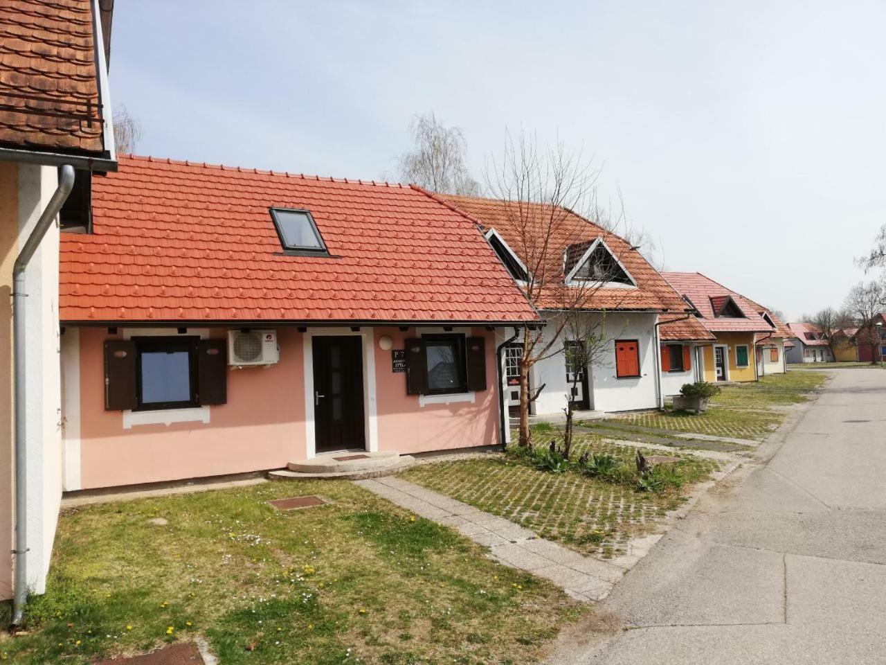 Apartma Stela In Terme Catez Чатеж-об-Сави Экстерьер фото